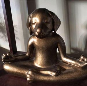 Meet your Posher, Briana